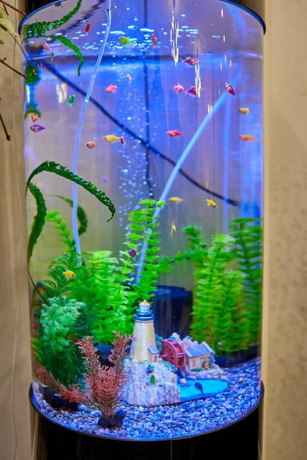 Spa Lux Apartmani Novi Sad Bagian luar foto